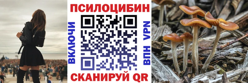 Галлюциногенные грибы GOLDEN TEACHER  наркотики  нарко площадка какой сайт  Рузаевка 